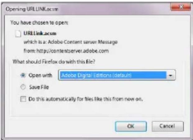 TrekStor Pyrus maxi - Tresci Adobe® DRM (zabezmieczone przyd kopiowaniem pliki PDF lub ePUB) - 1