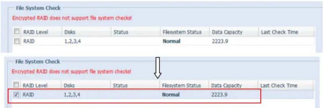 Thecus N8810U - File System Check (Verification du système de fichiers) - 5