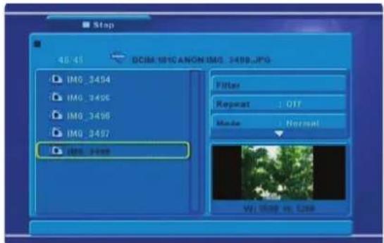 NPG DVD 210ZU - Imagem JPEG - 1