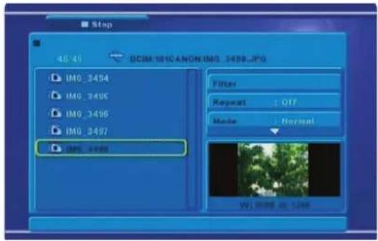 NPG DVD 210ZU - Imagen JPEG - 1