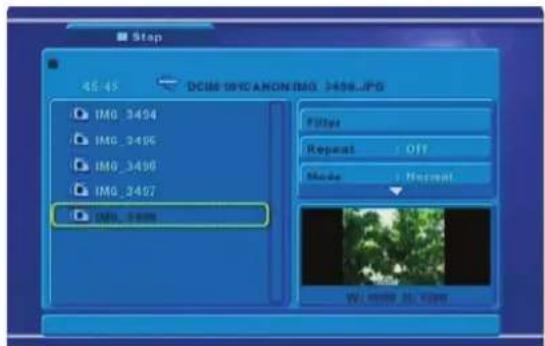 NPG DVD 210ZU - JPEG picture - 1