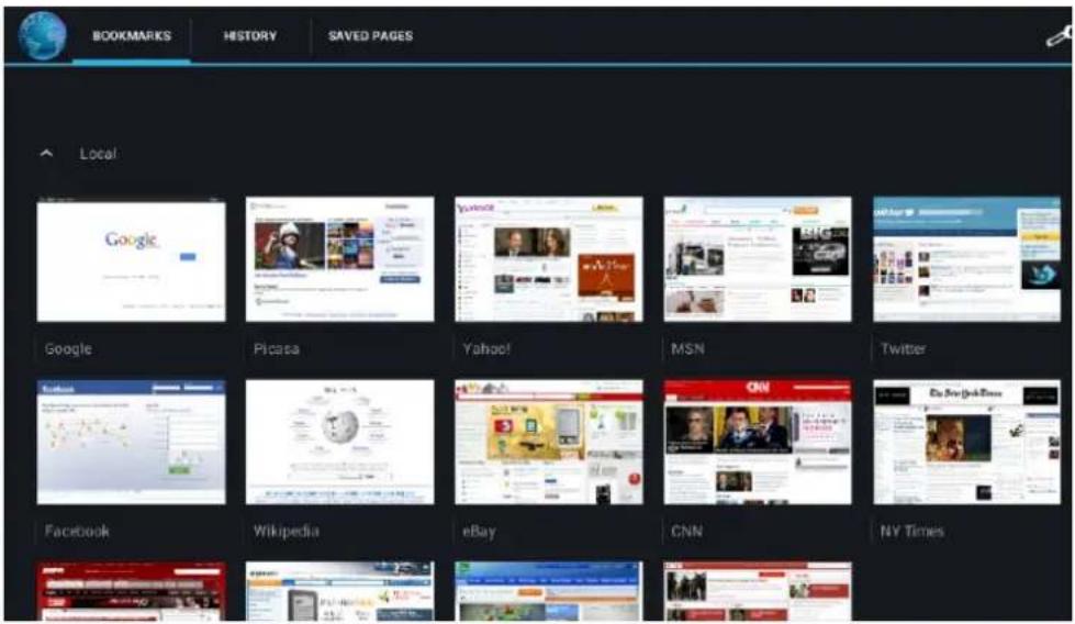 BOOKMARKS HISTORY SAVED PAGES Local Google Picasa Yahoo! MSN Twitter Facebook Wikipedia eBay CNN NY Times