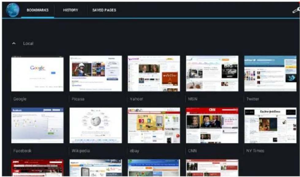 BOOKMARKS HISTORY SAVED PAGES Local Google Picasa Yahoo! MSN Twitter Facebook Wikipedia eBay CNN NY Times