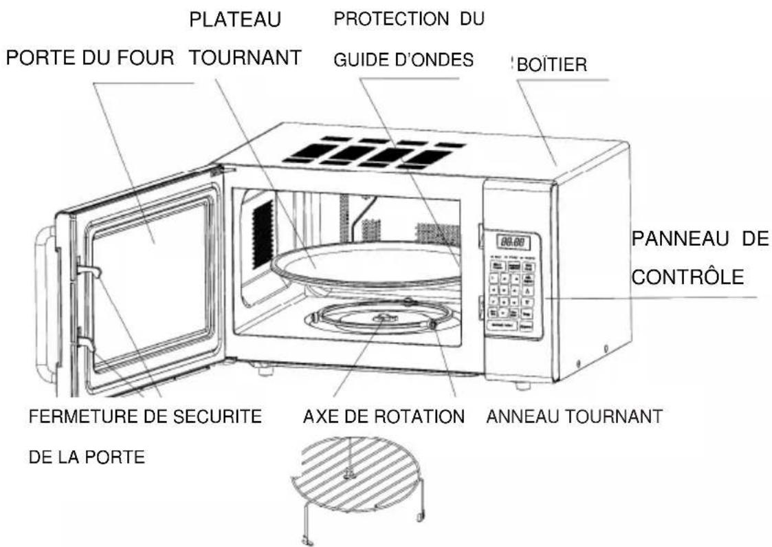 TRISTAR MW2905 - Lors de la première utilisation - 1