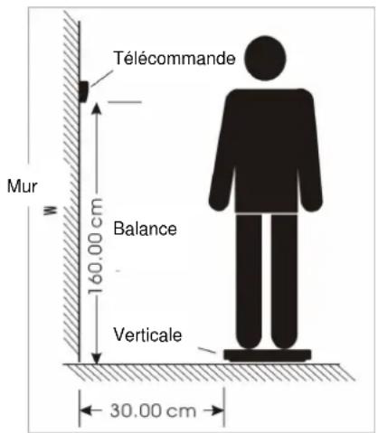 Télécommande Mur 160.00 cm Balance Verticale 30.00 cm