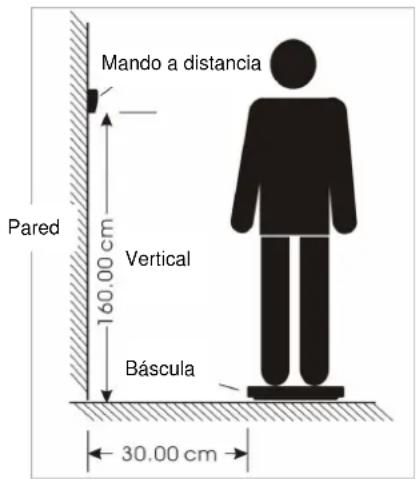 Mando a distancia Pared Vertical Báscula 160.00 cm 30.00 cm