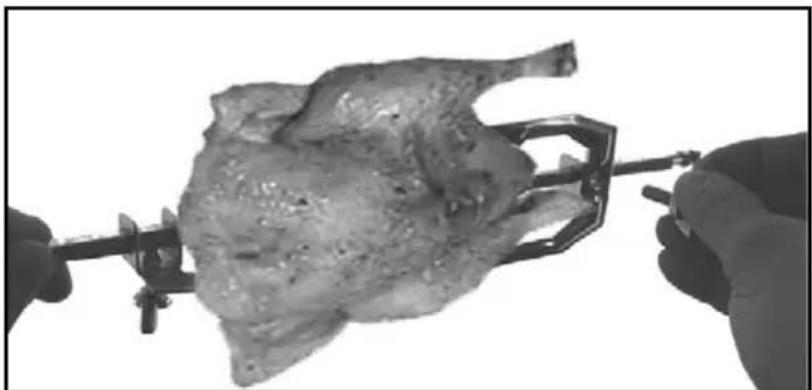 TRISA Forno Classico 7315 42 45 - Anwendung (Grill-Drehspiess) - 4