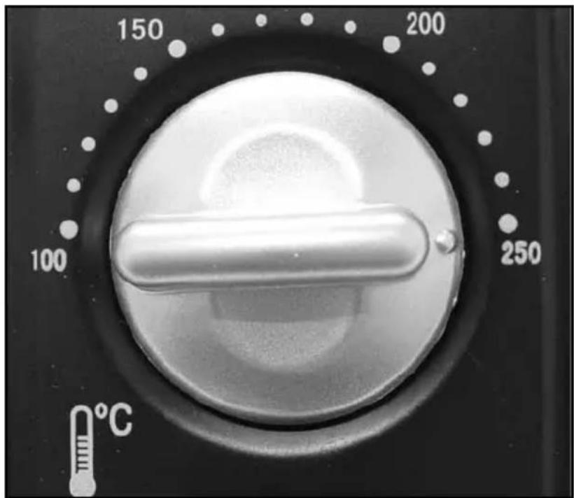 TRISA Forno Classico 7315 42 45 - Anwendung (Grill-Drehspiess) - 8