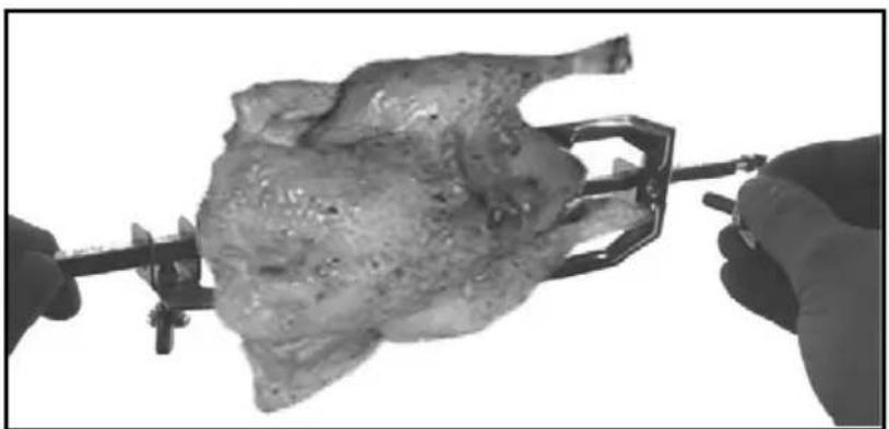 TRISA Forno Classico 7315 42 45 - Utilisation (broche rotative) - 4