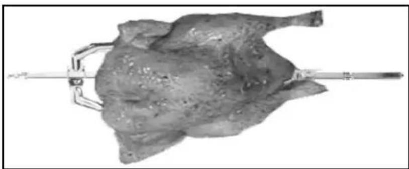 TRISA Forno Classico 7315 42 45 - Utilisation (broche rotative) - 3