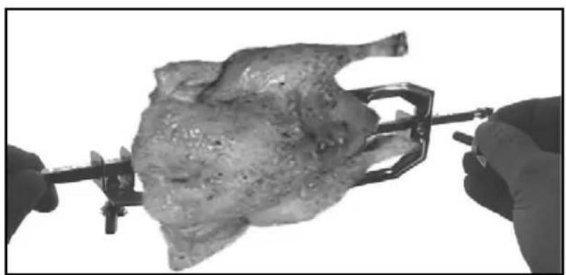 TRISA Forno Classico 7315 42 45 - How to use (Grill spit) - 4