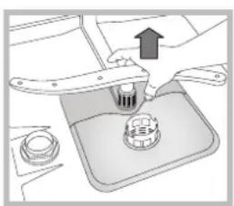 HOTPOINT LSP 720A X - Limpar os braços aspersores - 2