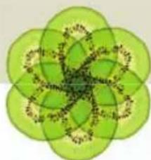 Turmix A35113 - CONSIGNES DE SECURITÉ - 2