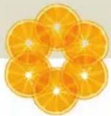 Turmix A35113 - SUCCO DI POMODORI, CETRIOLI E CAROTE - 2