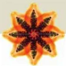 Turmix A35113 - SICHERHEITSHINWEISE - 2