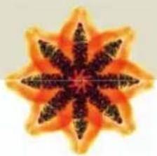 Turmix A35113 - ANANAS-PFIRSICH-BIRNEN-SAFT - 3