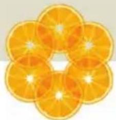 Turmix A35113 - LA NUOVA CENTRIFUGA TURMIX IN DETTAGLIO - 2