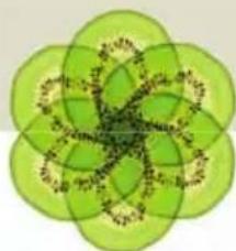 Turmix A35113 - JUS DETOMATES-CONCOMBRES-CAROTTES - 2