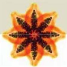 Turmix A35113 - TOMATEN-GURKEN-KAROTTEN-SAFT - 2