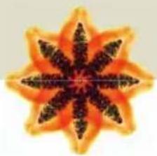 Turmix A35113 - TRESTERRING LEEREN - 1