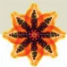 Turmix A35113 - VEREHRTE KUNDIN, VEREHRTER KUNDE - 2