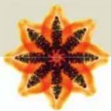 Turmix A35113 - IHR NEUER TURMIX ENTSAFTER IM DETAIL - 2