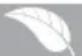 BRANDT BWT 6312 E - ENVIRONMENT - 1