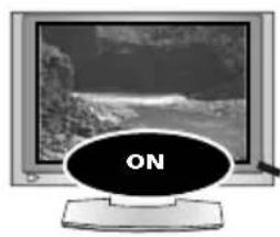 ONE FOR ALL Essence 4 - ONE FOR ALL SimpleSet™ - 1