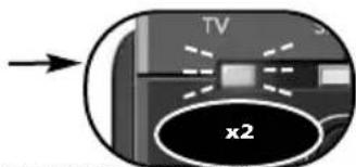 ONE FOR ALL Essence 4 - 6 - 1