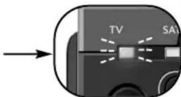 TV SAT