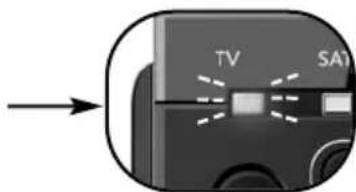 TV SA1