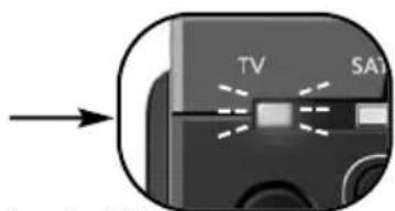 TV SAT