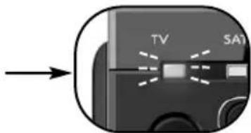 TV SA1