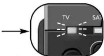 TV SATA