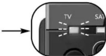 TV SA1