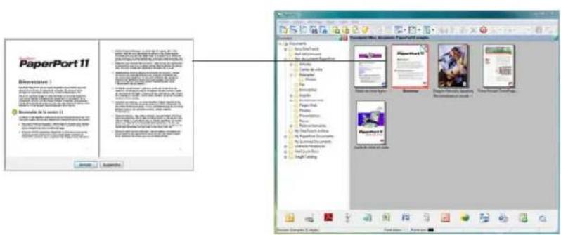 XEROX DocuMate 262i - Chargement et numérisation de documents à partir du bac d'entrée - 8
