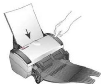 XEROX DocuMate 262i - Chargement et numérisation de documents à partir du bac d'entrée - 7