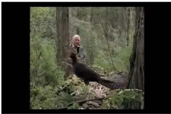 VIEWSONIC VMP74 - Affichage du contenu youtube - 4