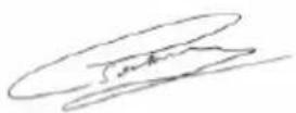 VELLEMAN VM118R - R & TTE Declaration of Conformity - 1