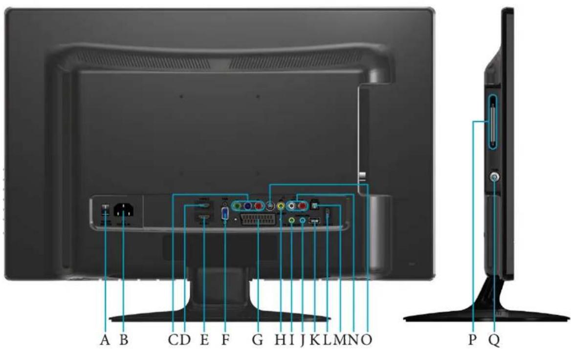 VIEWSONIC VT2405LED - Rear view - 1