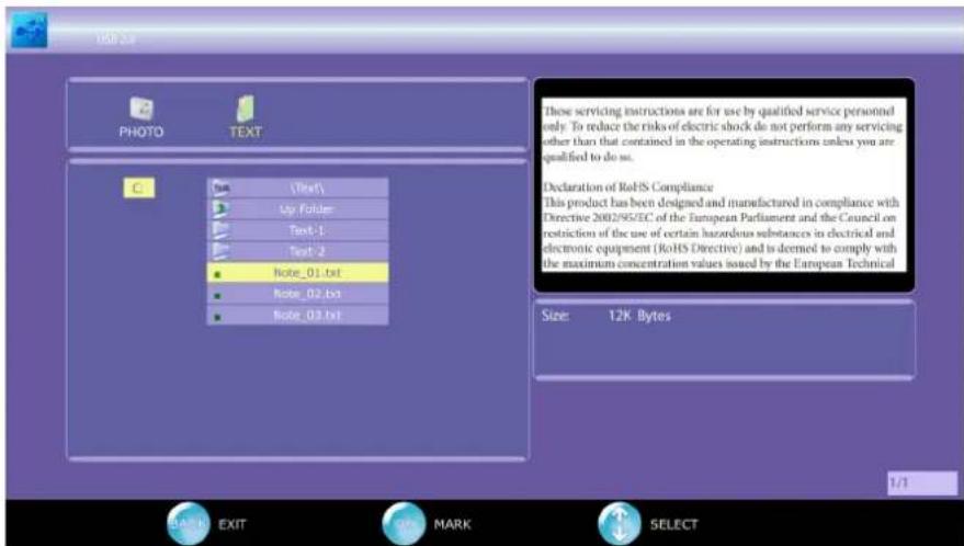 VIEWSONIC VT2405LED - Display the Text - 1