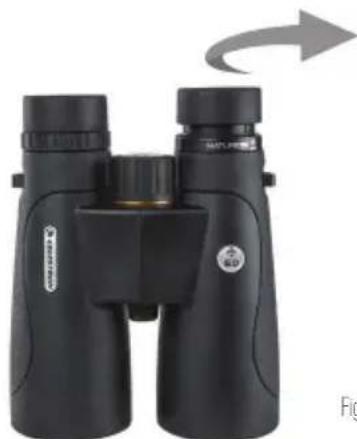 CELESTRON Nature 10x25 - RéGLAGE DES CEILLETONS - 1