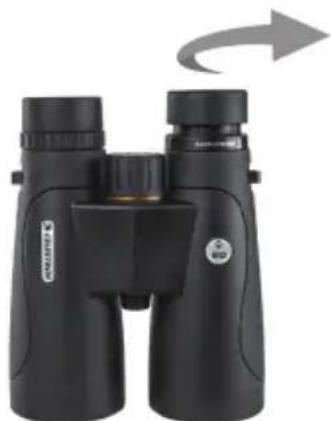 CELESTRON Nature 10x25 - AJUSTE DE LA ALMOHADILLA - 1