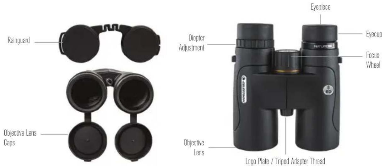 CELESTRON Nature 10x25 - CELESTRON'NATURE DX ED BINOCULARS - 1