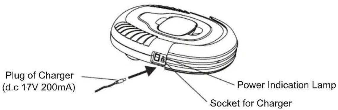 P3 International P4960 - RECHARGING BATTERY - 1