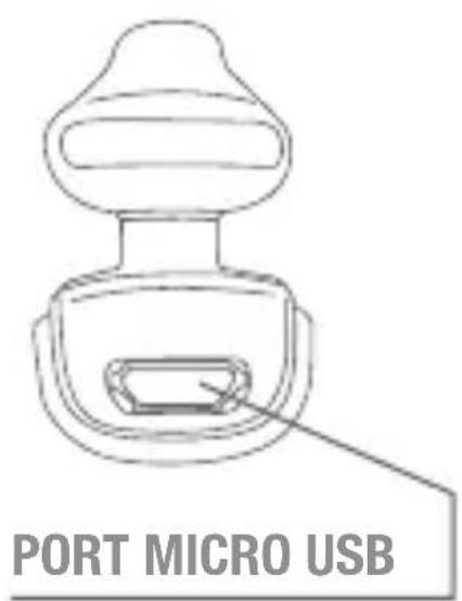 Fonexion SF50W - RAVI DETE CONNAITRE - 1