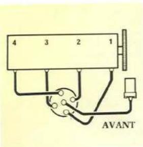 RENAULT 5 (1989) - Remplacement d'une lampe de feu arrière - 4