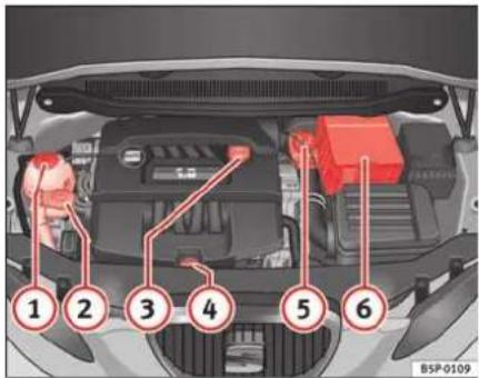 SEAT Altea XL (2008) - Vérification des niveaux - 1