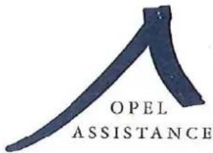 OPEL Tigra (1995) - Opel service - 1