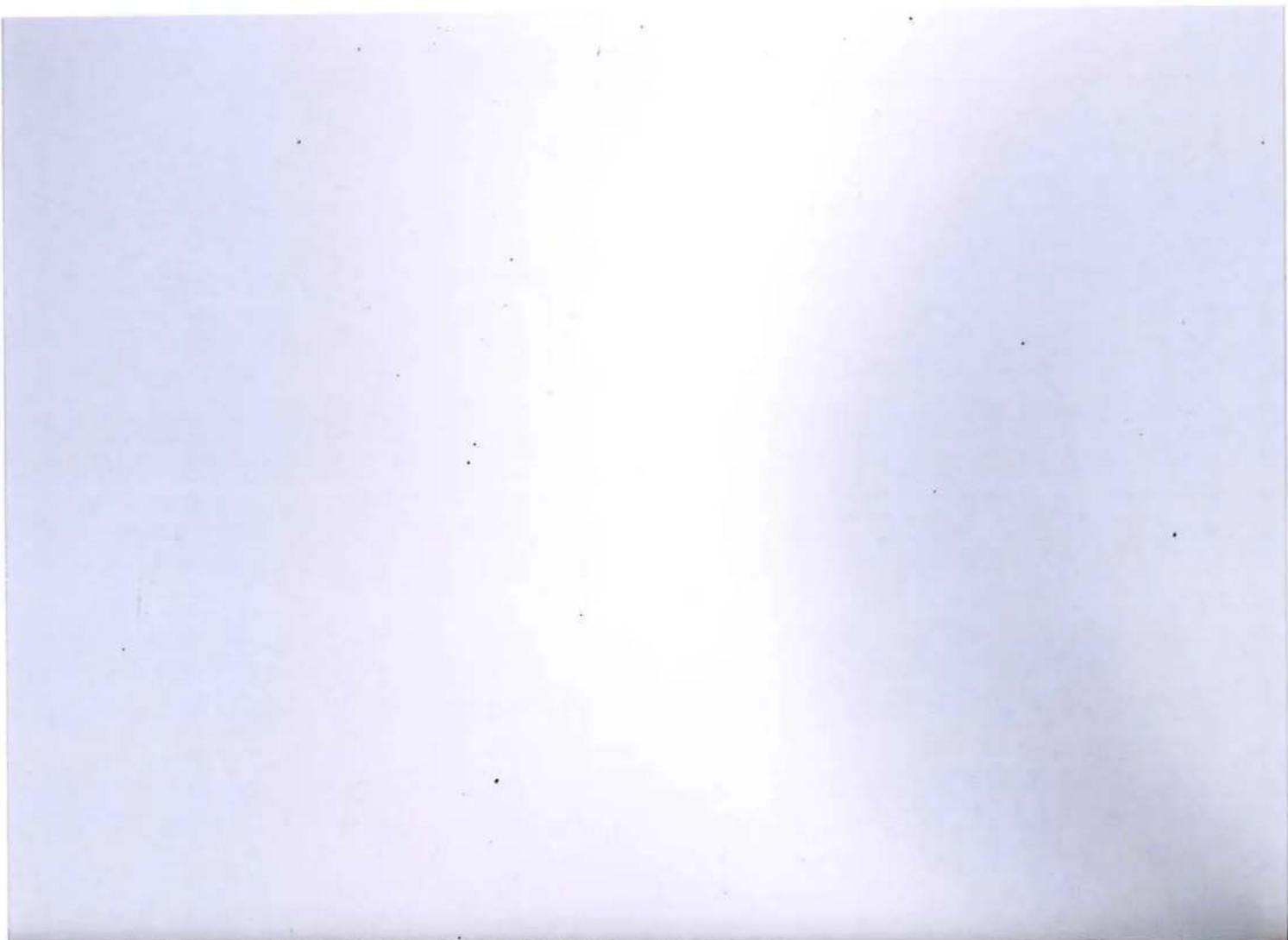 OPEL Tigra (1995) - Position 1 - 1